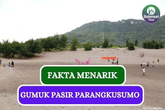 4 Fakta Gumuk Pasir Parangkusumo yang Unik